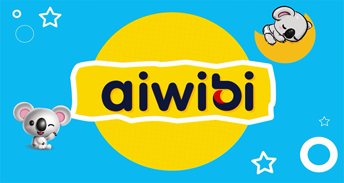 Обзор основных продуктов AIWIBI
